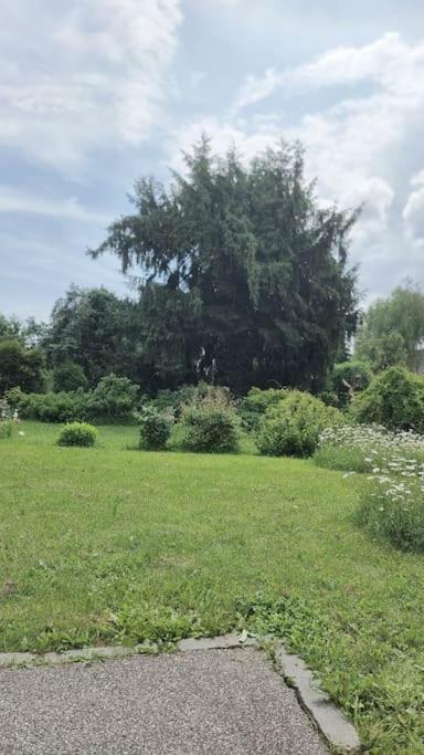 Apartment Hohenheim - Am Stadtpark